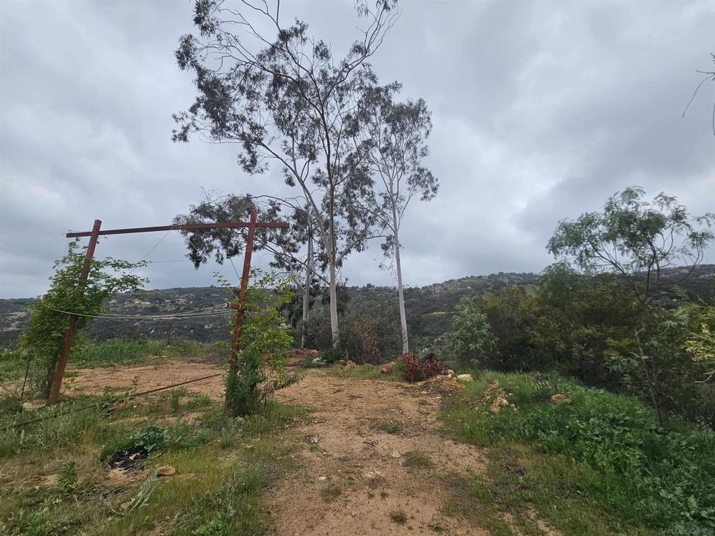6465 Rainbow Heights Road Fallbrook, CA 92028 - Photo 22 of 36 a view of a yard