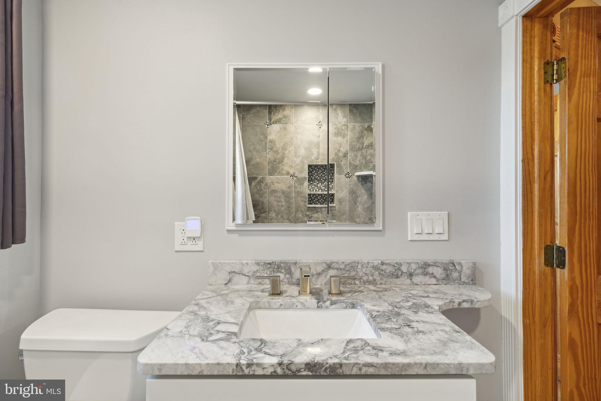 337 Lewis Road Springfield, PA 19064 - Photo 29 of 68