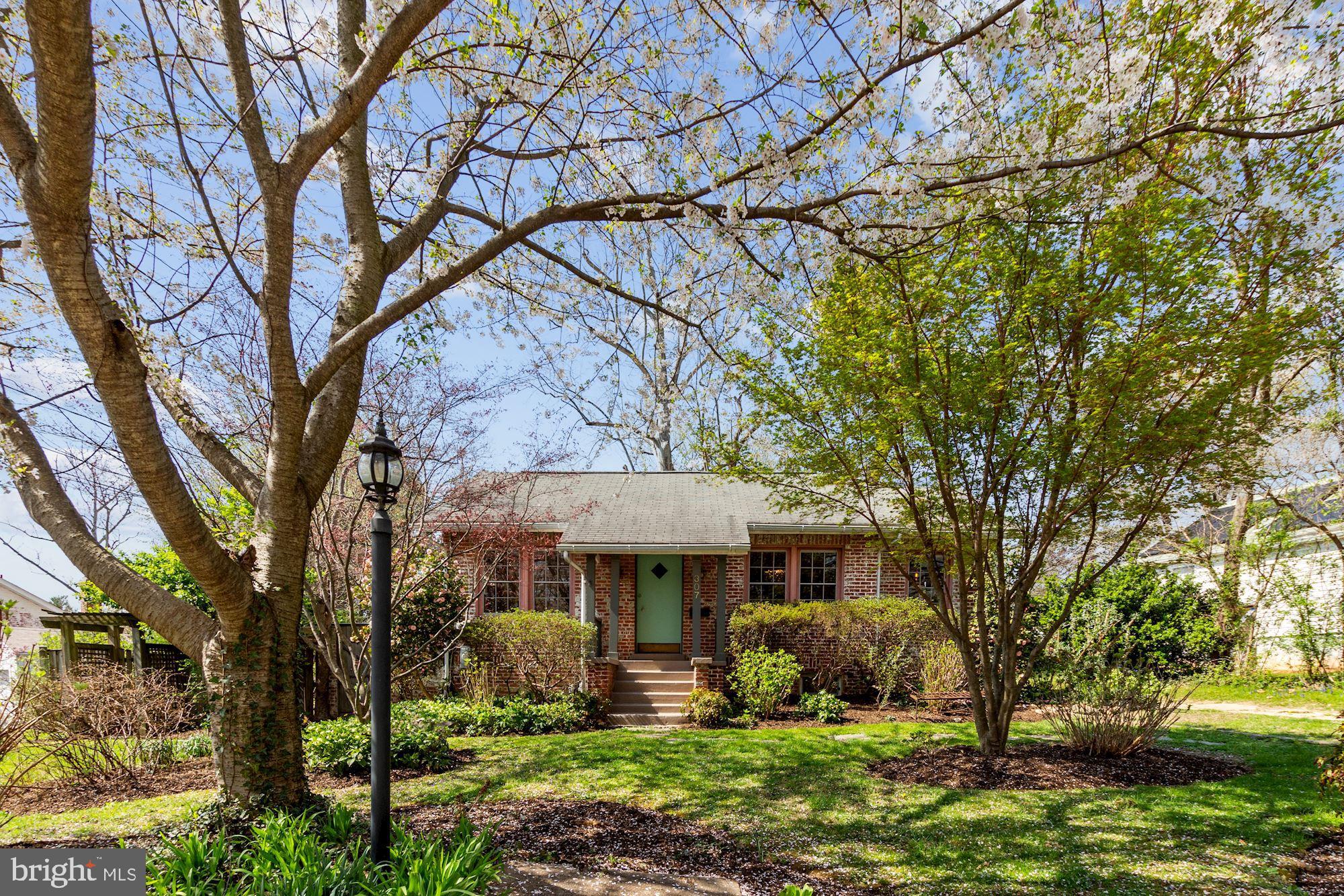 307 Franklin Avenue Silver Spring, MD 20901 - Photo 42 of 42 Gallery Image 42