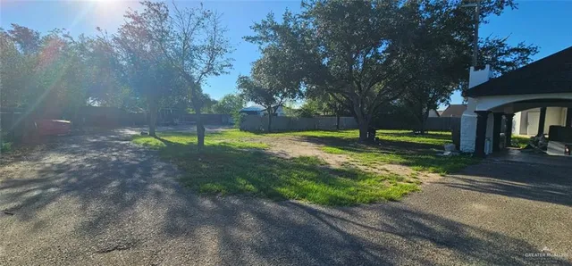 a view of a park with large trees