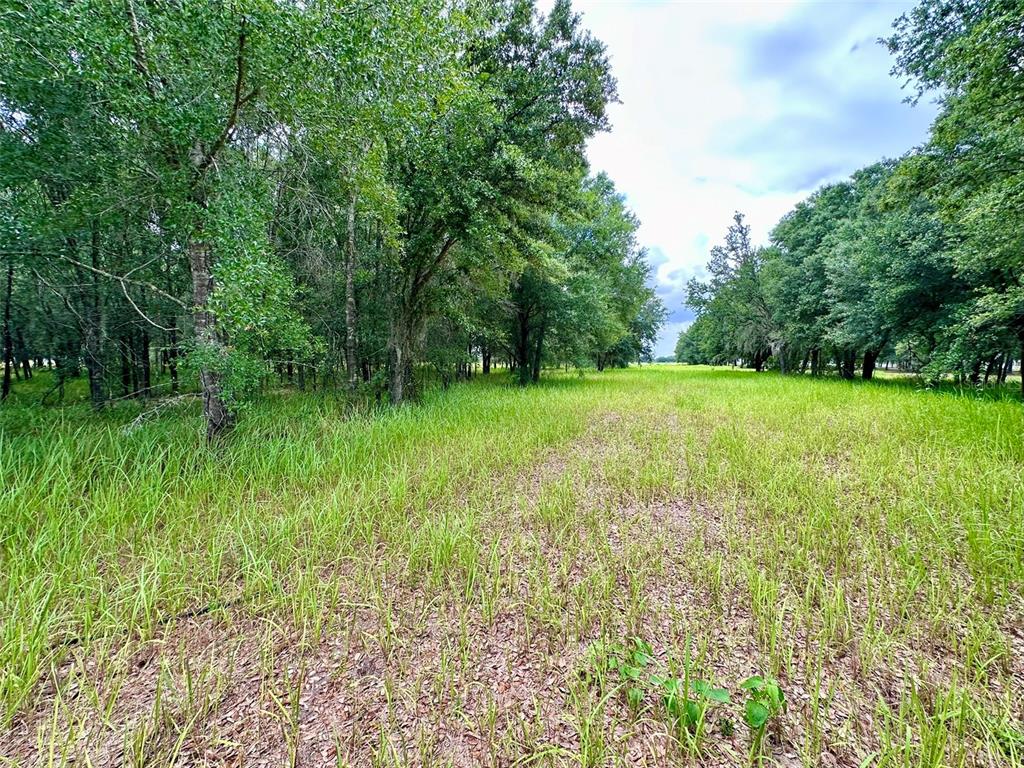 4946 Wauchula Road Myakka City, FL 34251 - Photo 5 of 9