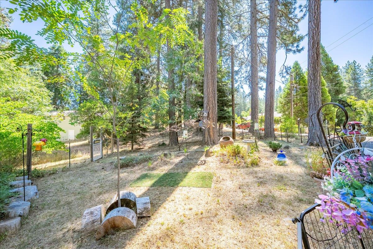 4375 Harness Tract Road Camino, CA 95709 - Photo 41 of 86