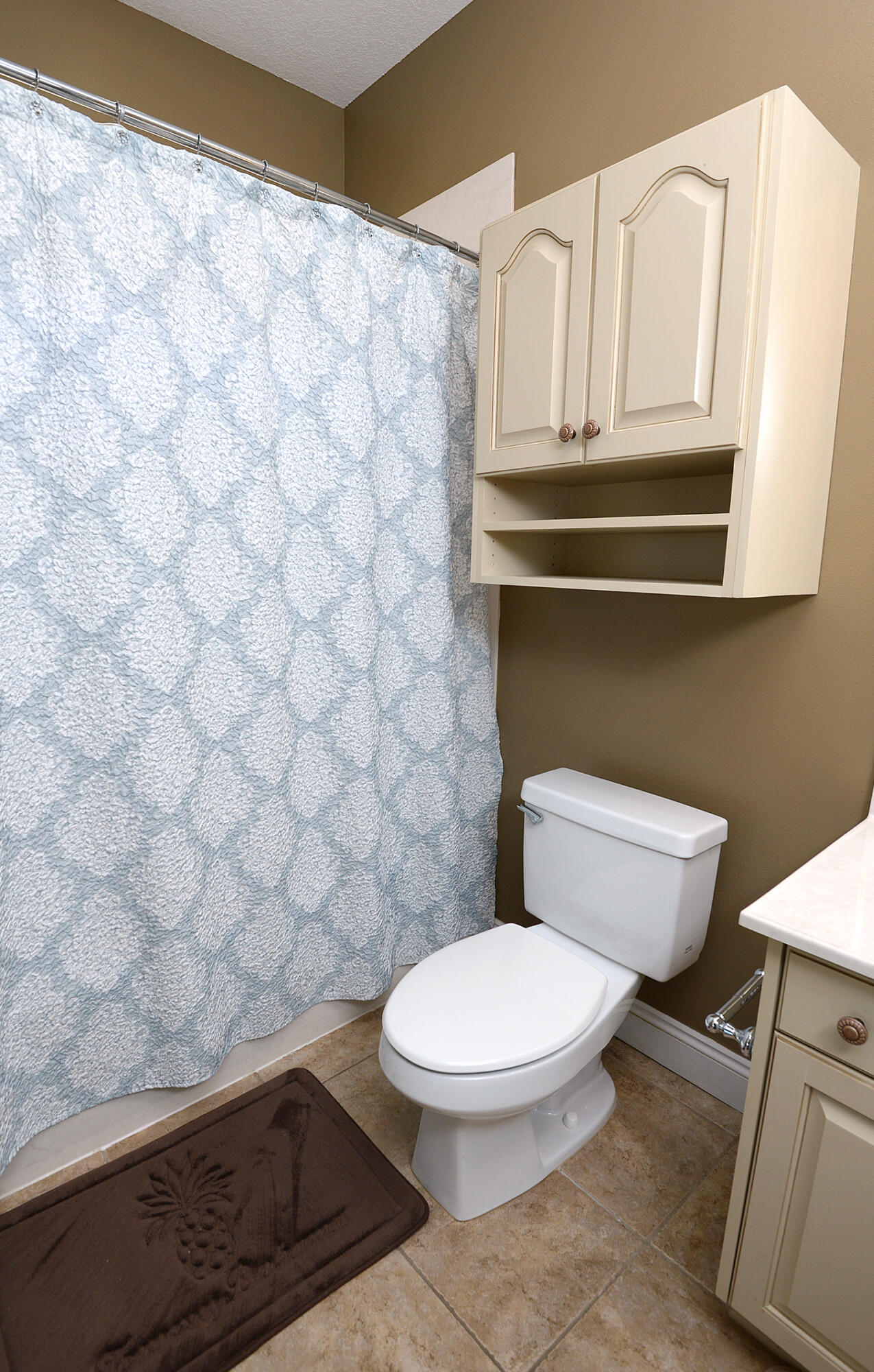 155 Indigo Loop Miramar Beach, FL 32550 - Photo 56 of 59 DSC_0277