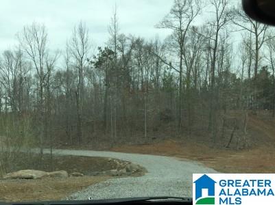 321 Camp Forrest Trail, Unit 772 Helena, AL 35080 - Photo 6 of 10