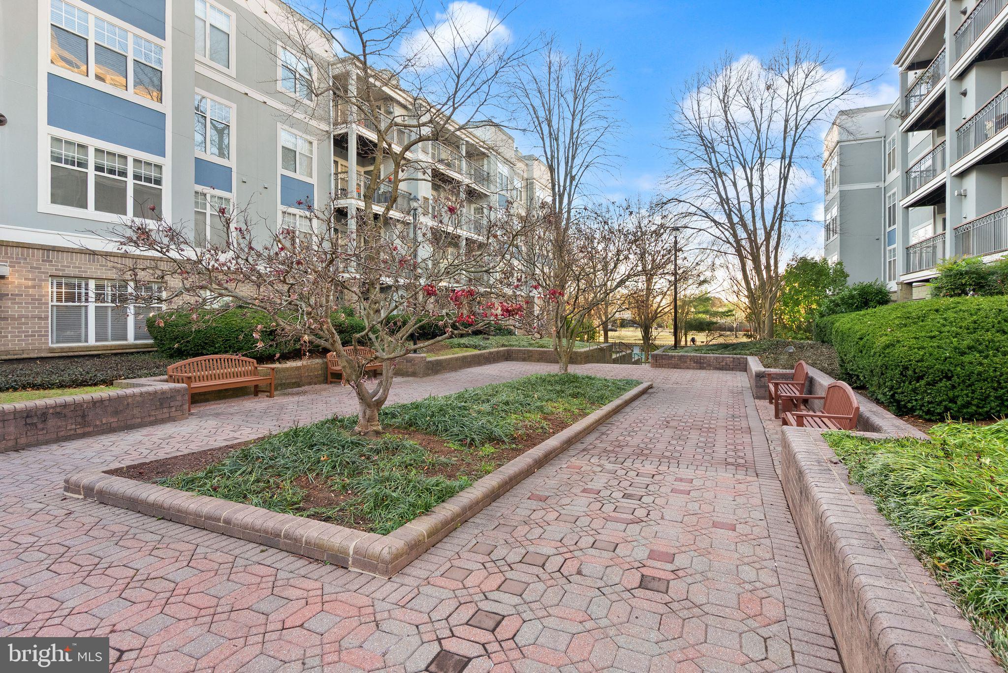 5565 Seminary Road, Unit 209 Falls Church, VA 22041 - Photo 31 of 34 a view of a garden with pathway