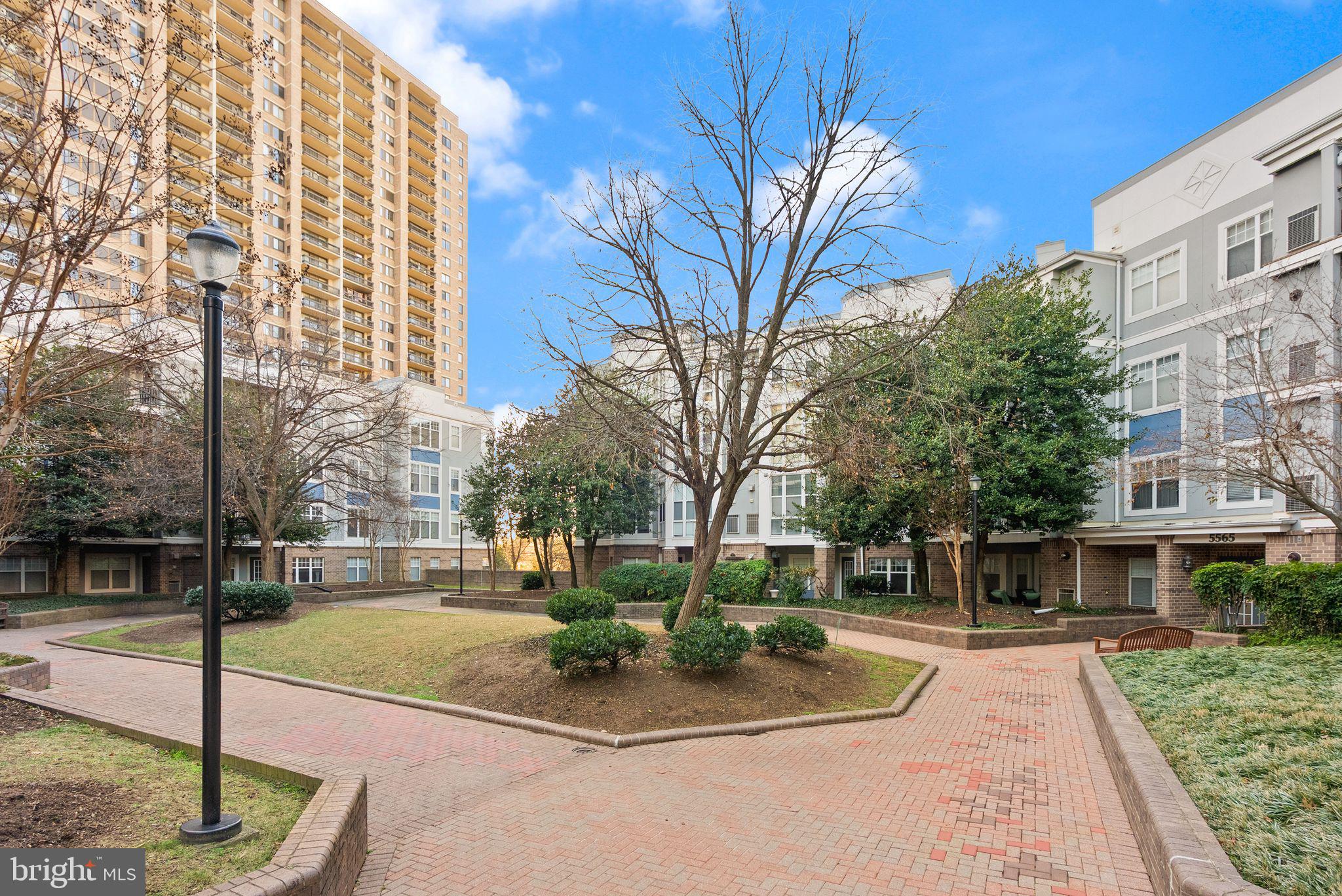 5565 Seminary Road, Unit 209 Falls Church, VA 22041 - Photo 34 of 34 a view of a building with yard and trees