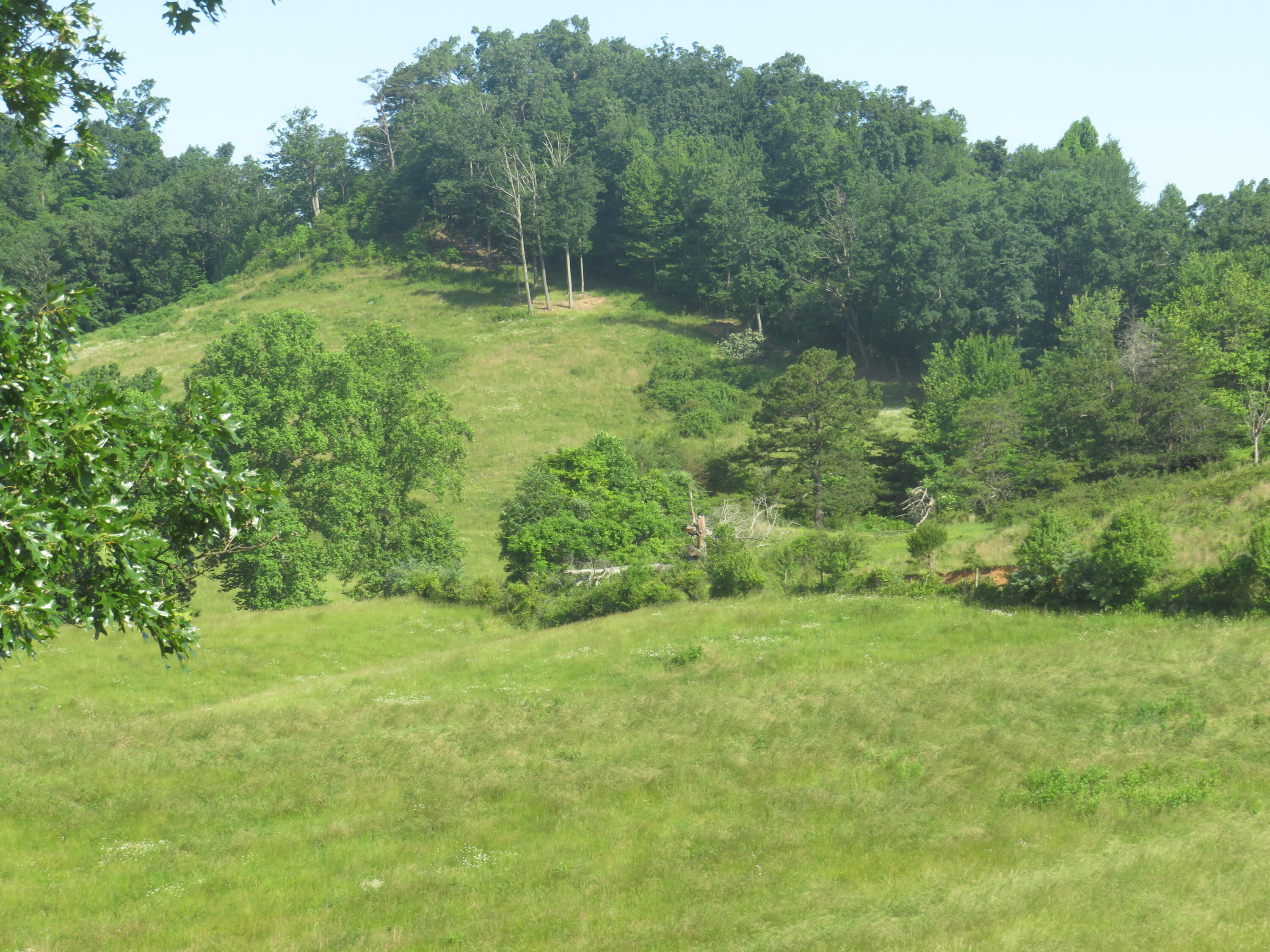 9999 Harris Cemetery Road London, KY 40741 - Photo 21 of 27 IMG_4099