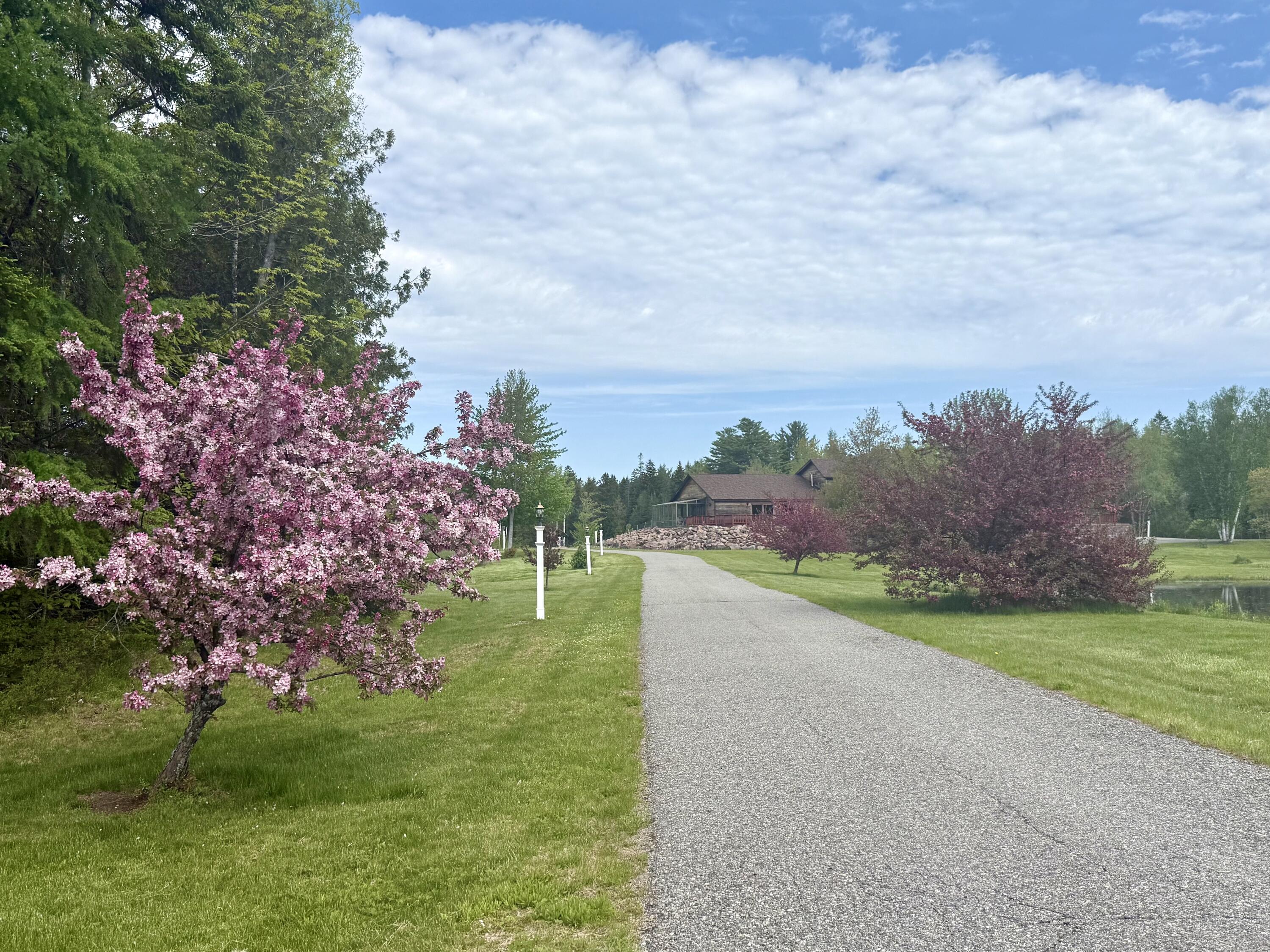 12 Morgan Road Pembroke, ME 04666 - Photo 15 of 124 IMG_0776