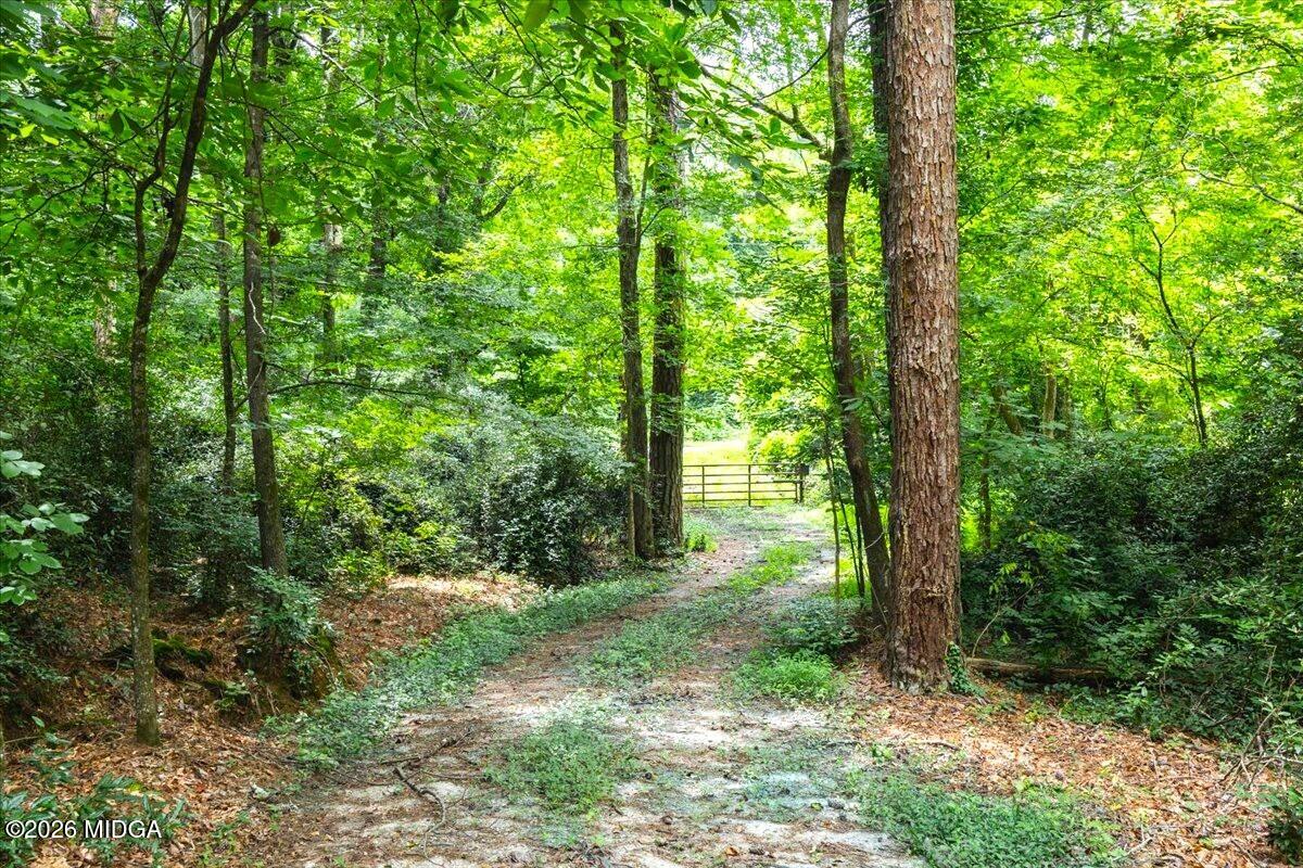 6442 Old Forsyth Road Macon, GA 31210 - Photo 42 of 51 63-5W7A0968