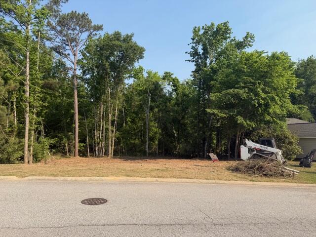 521 Stirling Bridge Road Grovetown, GA 30813 - Photo 9 of 10 IMG_3461