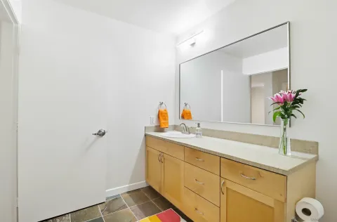 a bathroom with a sink and a mirror