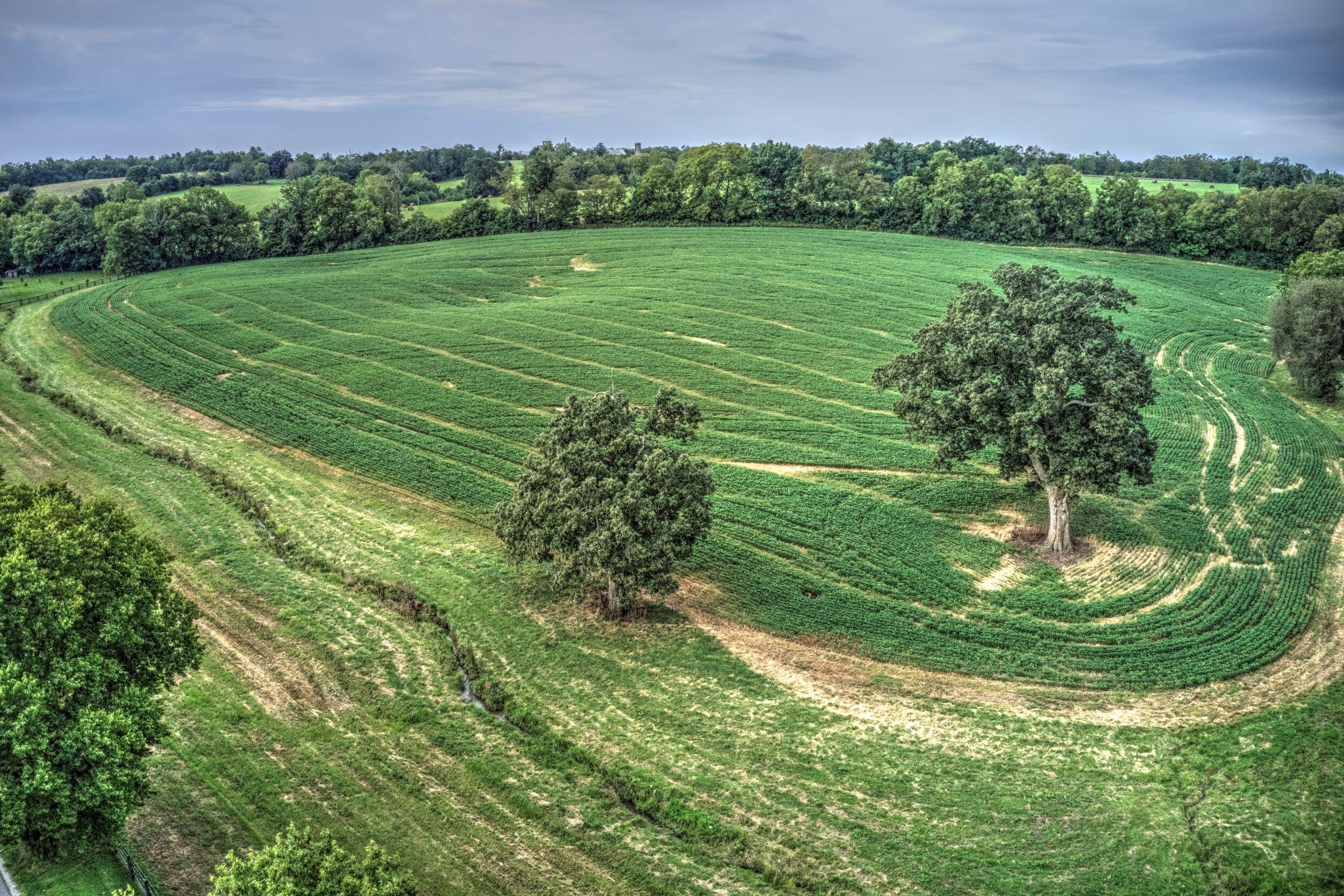 250 Redmon Road Paris, KY 40361 - Photo 10 of 22 DJI_0527 250 Redmon Road Paris resized