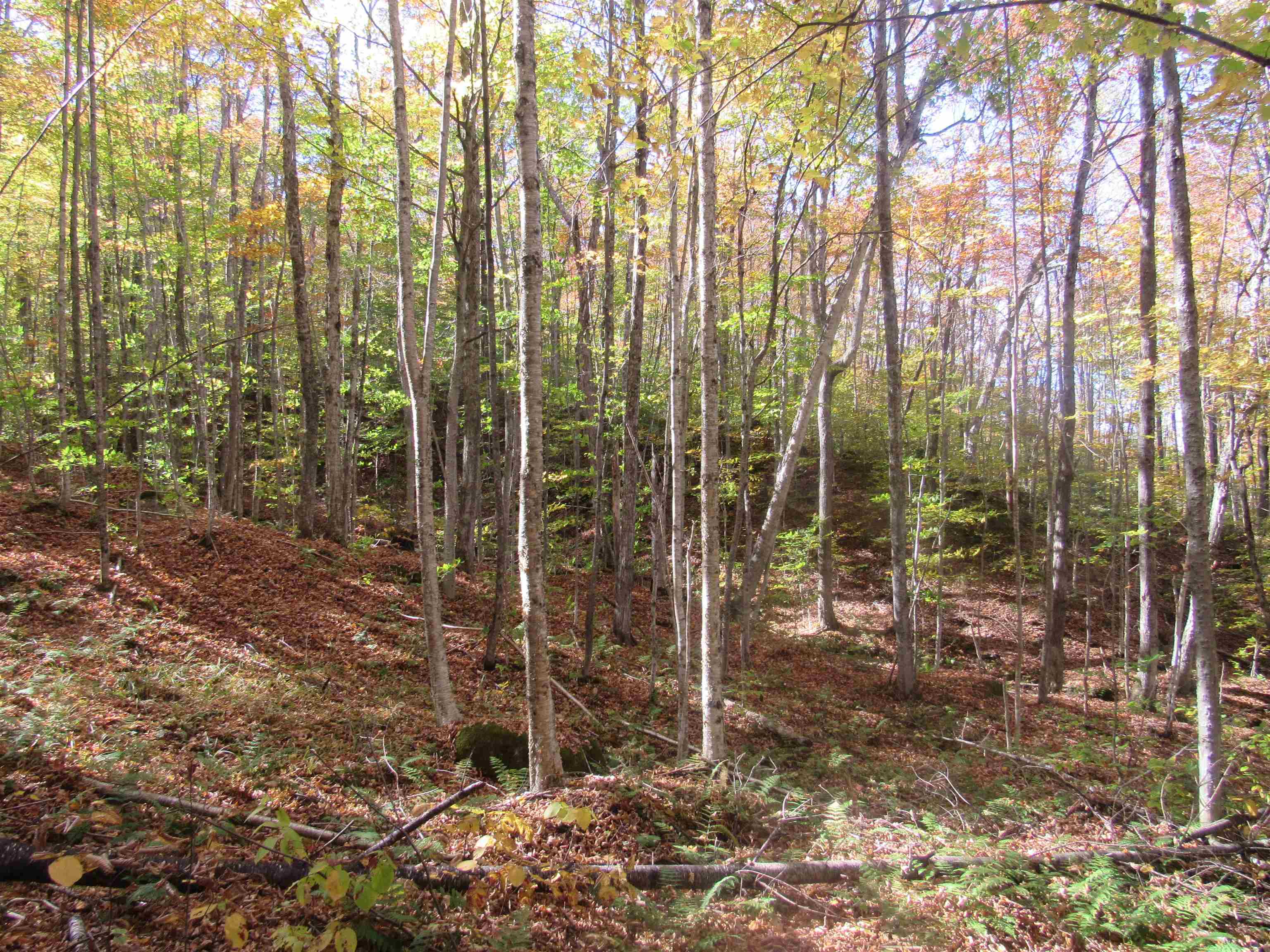 6791 Highway 5 Sutton, VT 05867 - Photo 13 of 50 Gallery Image 13