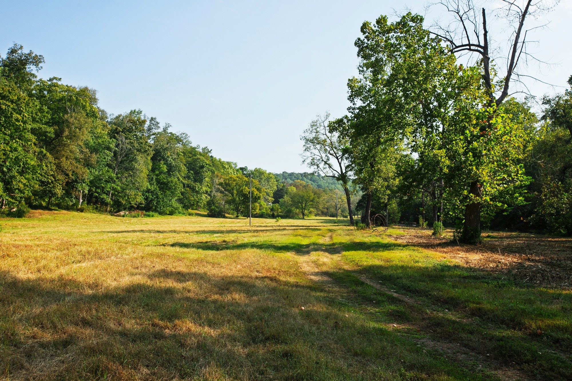 110 Wade Reed Road White Bluff, TN 37187 - Photo 81 of 94 Gallery Image 81