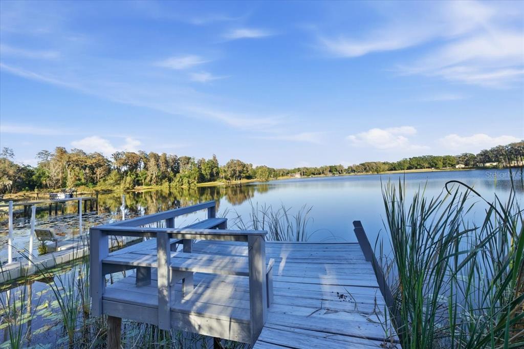 16921 Crawley Road Odessa, FL 33556 - Photo 17 of 53