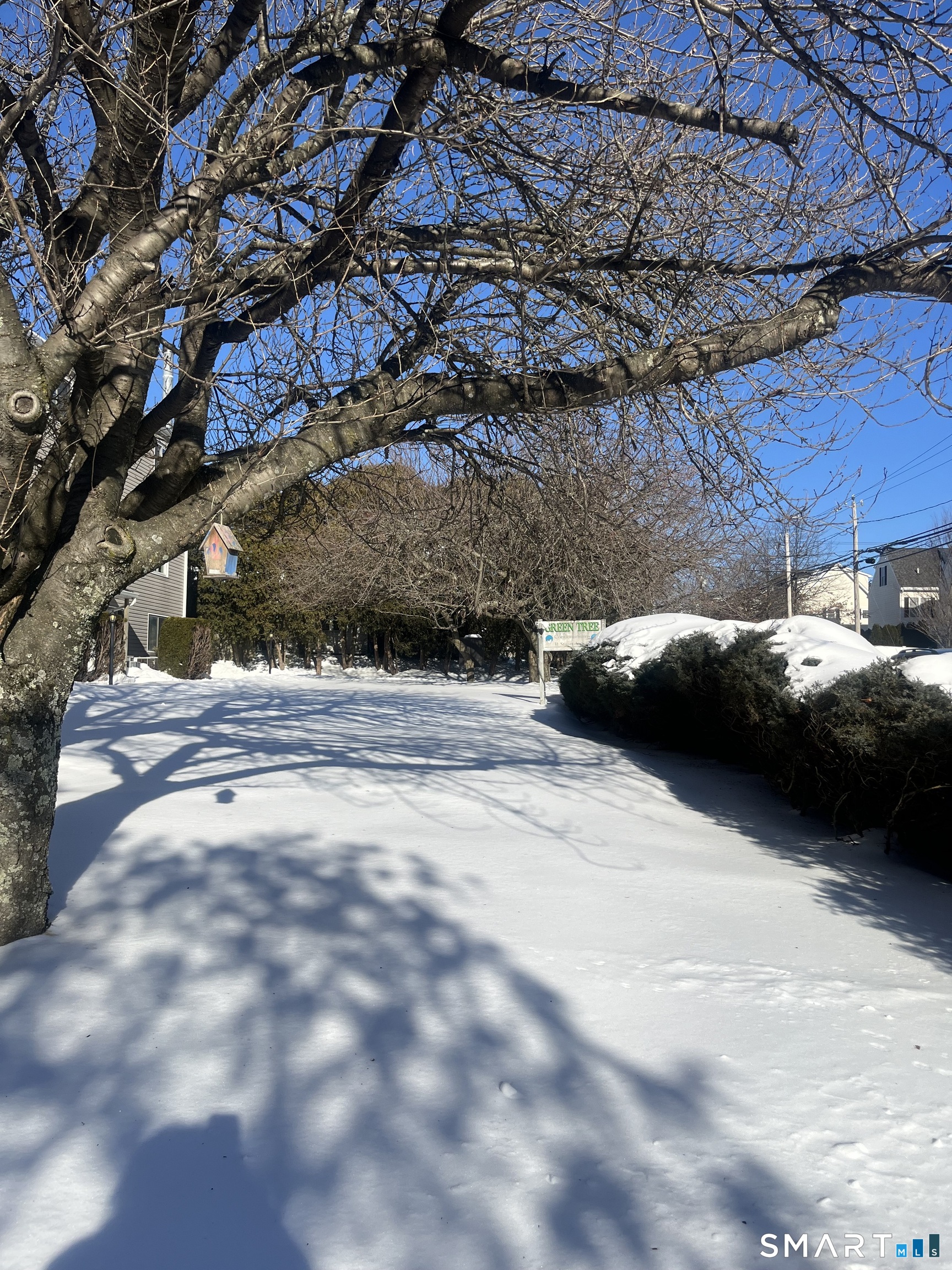 31 Stuart Avenue, Unit 12 Norwalk, CT 06850 - Photo 2 of 15