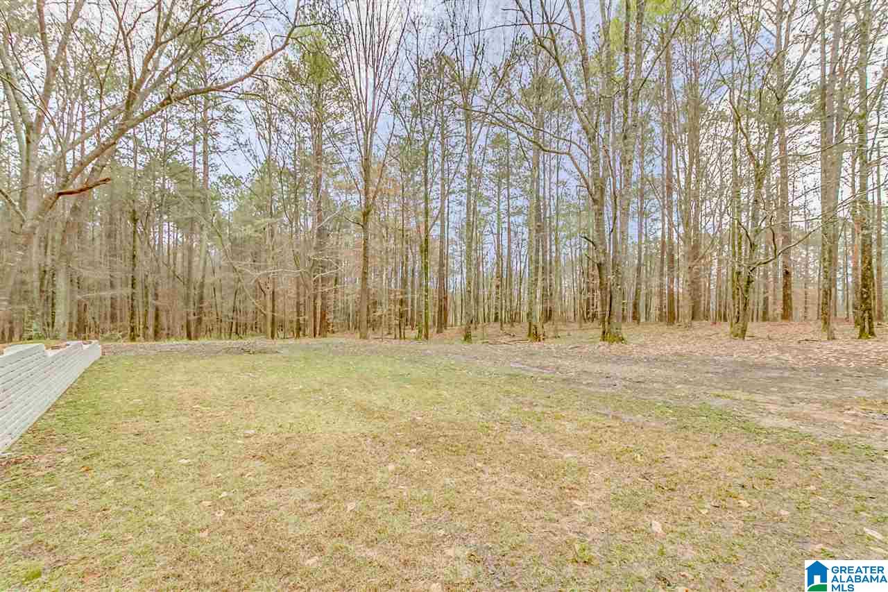 6150 Chelsea Road Columbiana, AL 35051 - Photo 39 of 50