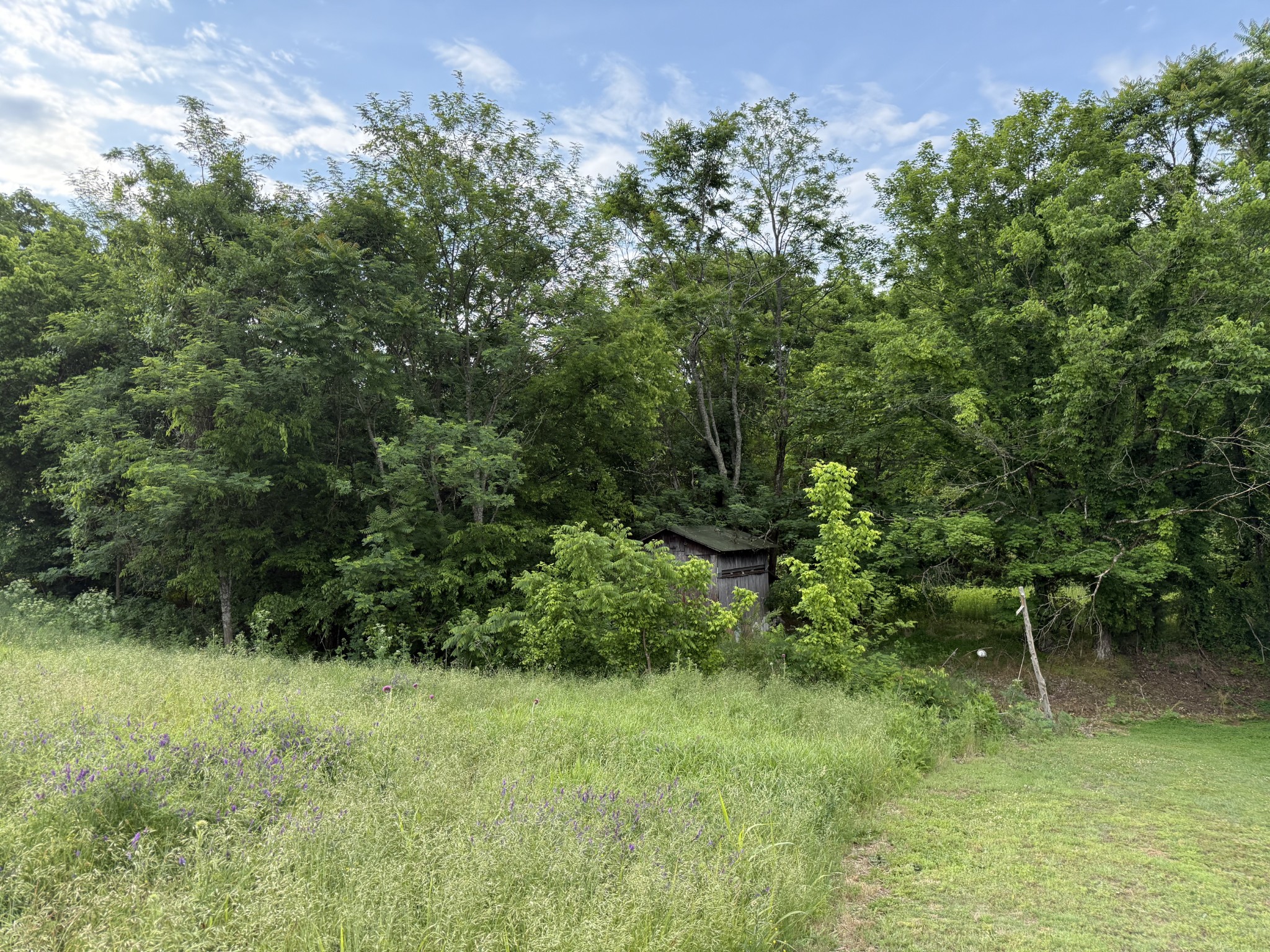 328 Young Branch Road Dixon Springs, TN 37057 - Photo 20 of 30