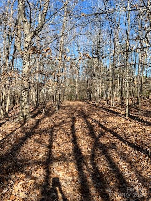 18330 McKee Road Charlotte, NC 28278 - Photo 2 of 34