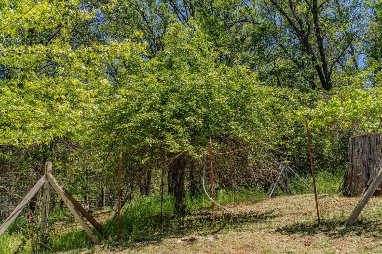 20310 State Rte 26 West Point, CA 95255 - Photo 41 of 57 a backyard of a house with lots of green space