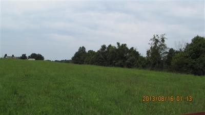 0 Lebanon Road Bagdad, KY 40003 - Photo 11 of 22 Photo 11