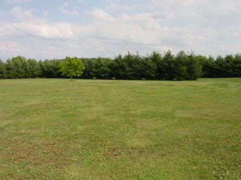 9935 Tangent Road Tecumseh, MI 49286 - Photo 10 of 10 920366-9.JPG