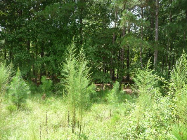121 Commonwealth Way Aiken, SC 29803 - Photo 10 of 10