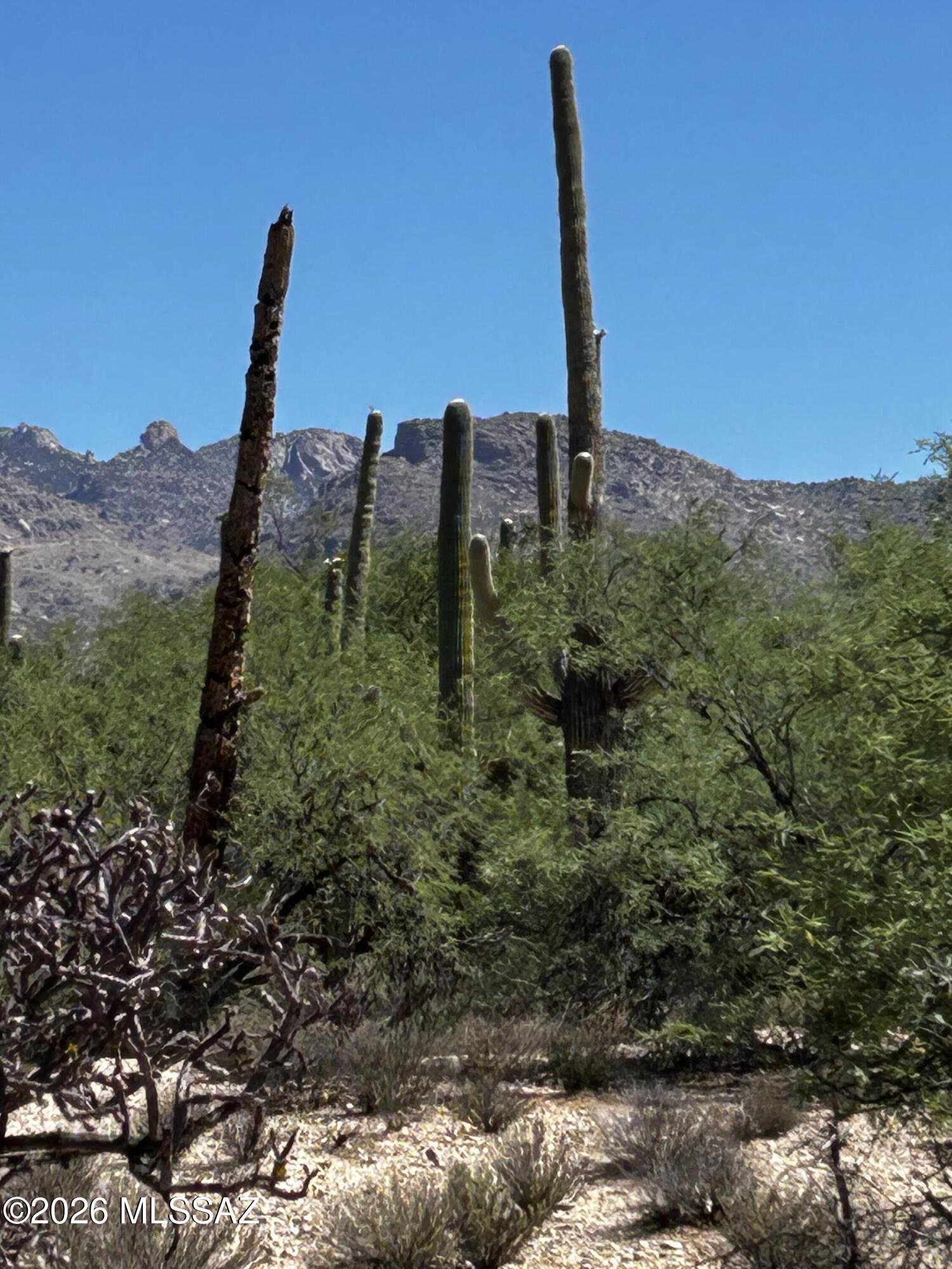 East Roger Road, Unit 46 Tucson, AZ 85749 - Photo 16 of 38