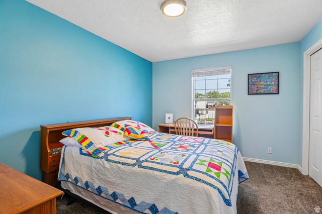 888 600 West, Unit 40 Provo, UT 84604 - Photo 11 of 19 Bedroom with light blue walls, a window providing natural light, and plush grey carpeting