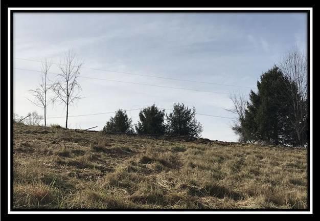 3263 Carmel Bathamia Road Thurman, OH 45685 - Photo 12 of 18