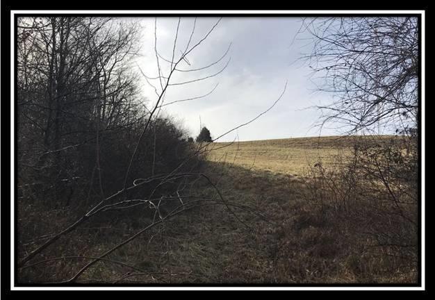 3263 Carmel Bathamia Road Thurman, OH 45685 - Photo 14 of 18