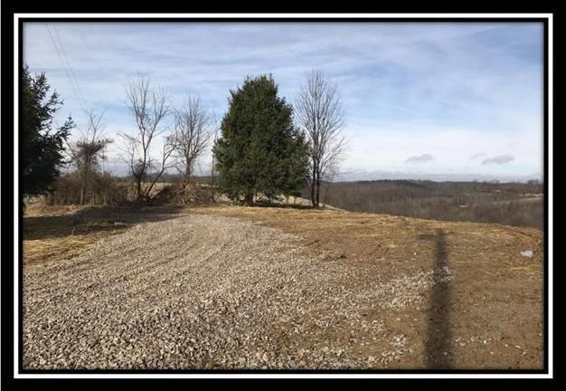 3263 Carmel Bathamia Road Thurman, OH 45685 - Photo 3 of 18