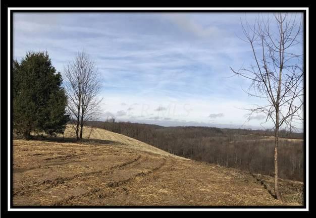 3263 Carmel Bathamia Road Thurman, OH 45685 - Photo 7 of 18