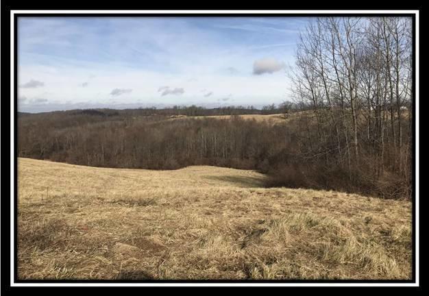 3263 Carmel Bathamia Road Thurman, OH 45685 - Photo 9 of 18