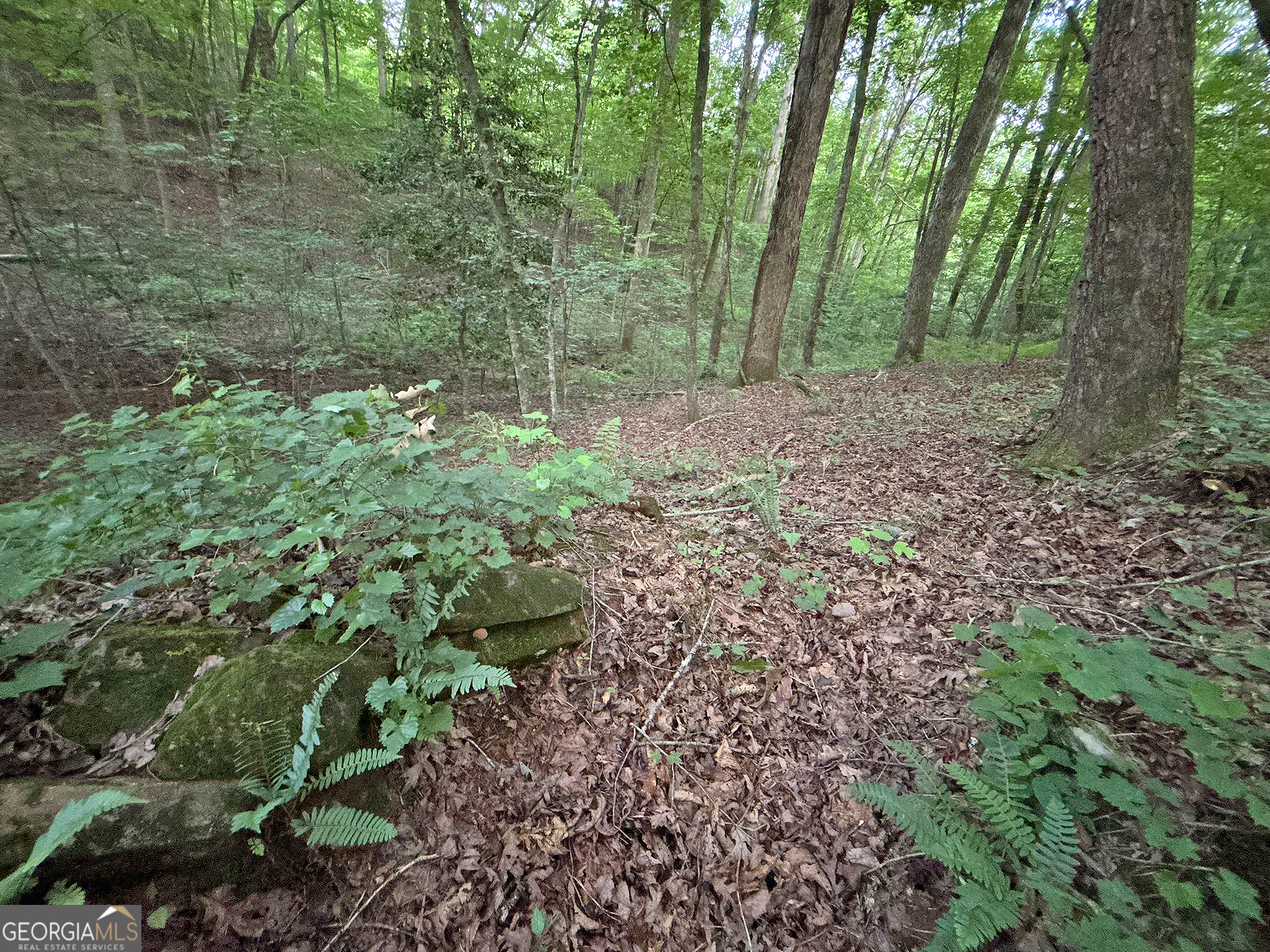 Lot 20 Mt Springer Road Ellijay, GA 30540 - Photo 28 of 32