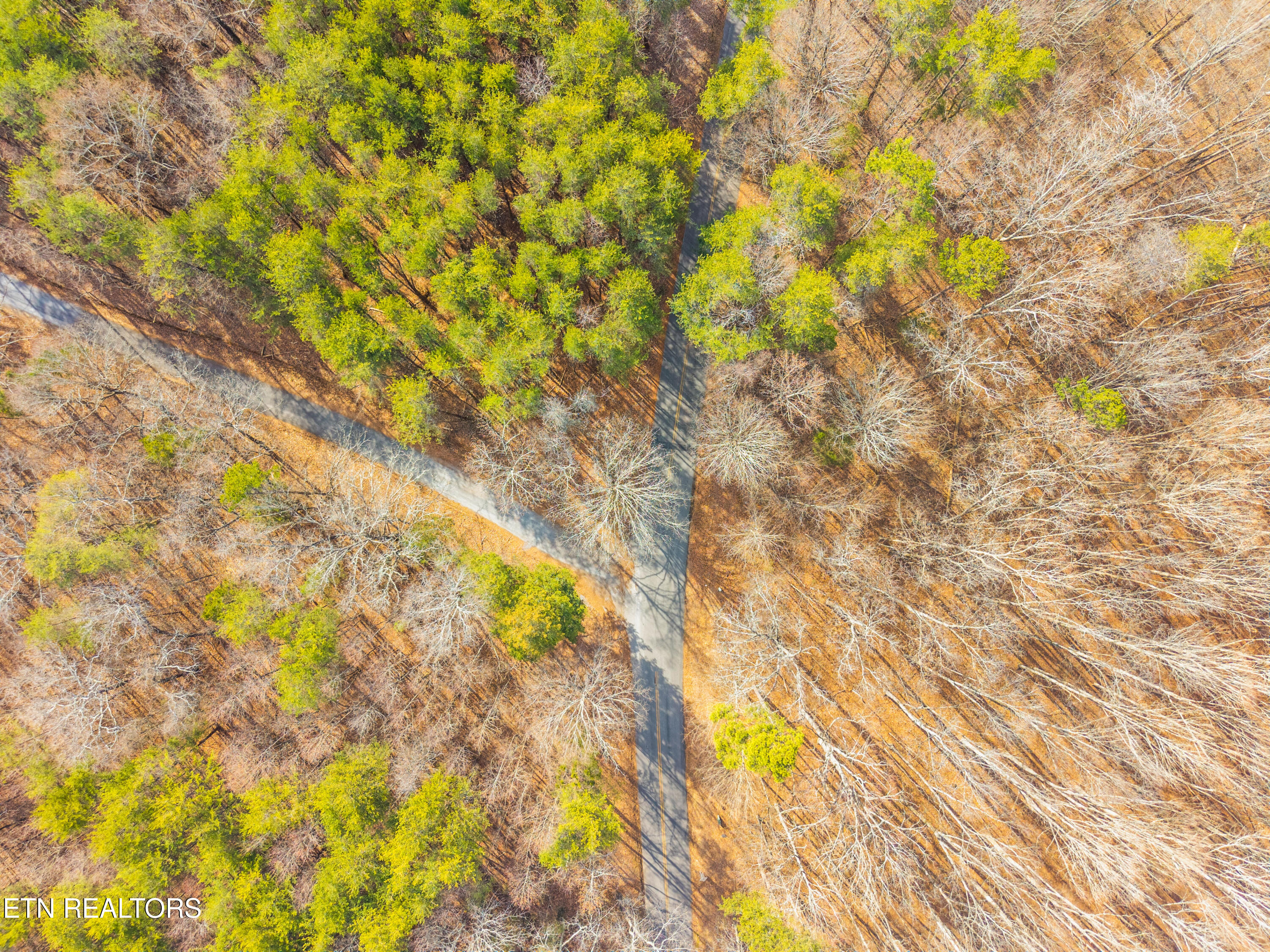 262 Co Road Niota, TN 37826 - Photo 5 of 10 knox_view_media_260_co_rd_3600008