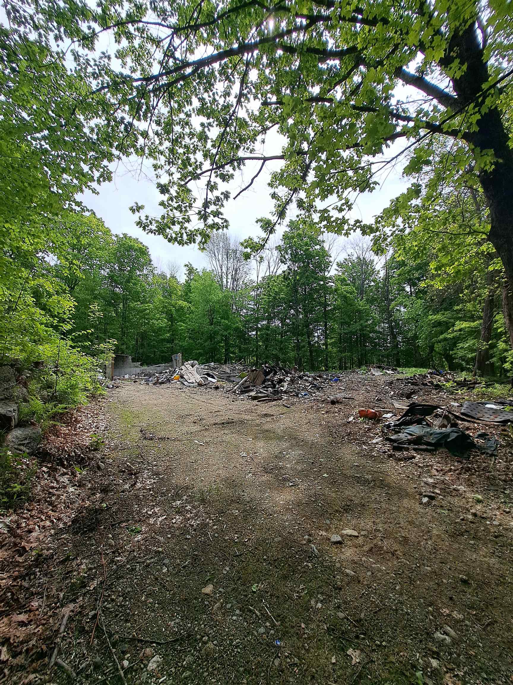 81 Hart Farm Road Deering, NH 03244 - Photo 12 of 17