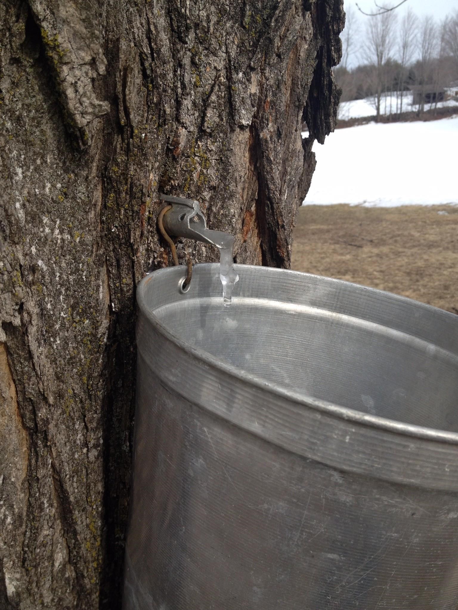 5 Old Manchester Road Amherst, NH 03031 - Photo 50 of 57