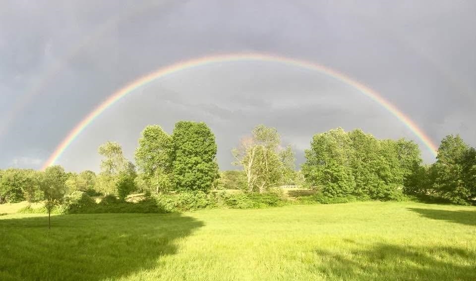 5 Old Manchester Road Amherst, NH 03031 - Photo 5 of 57