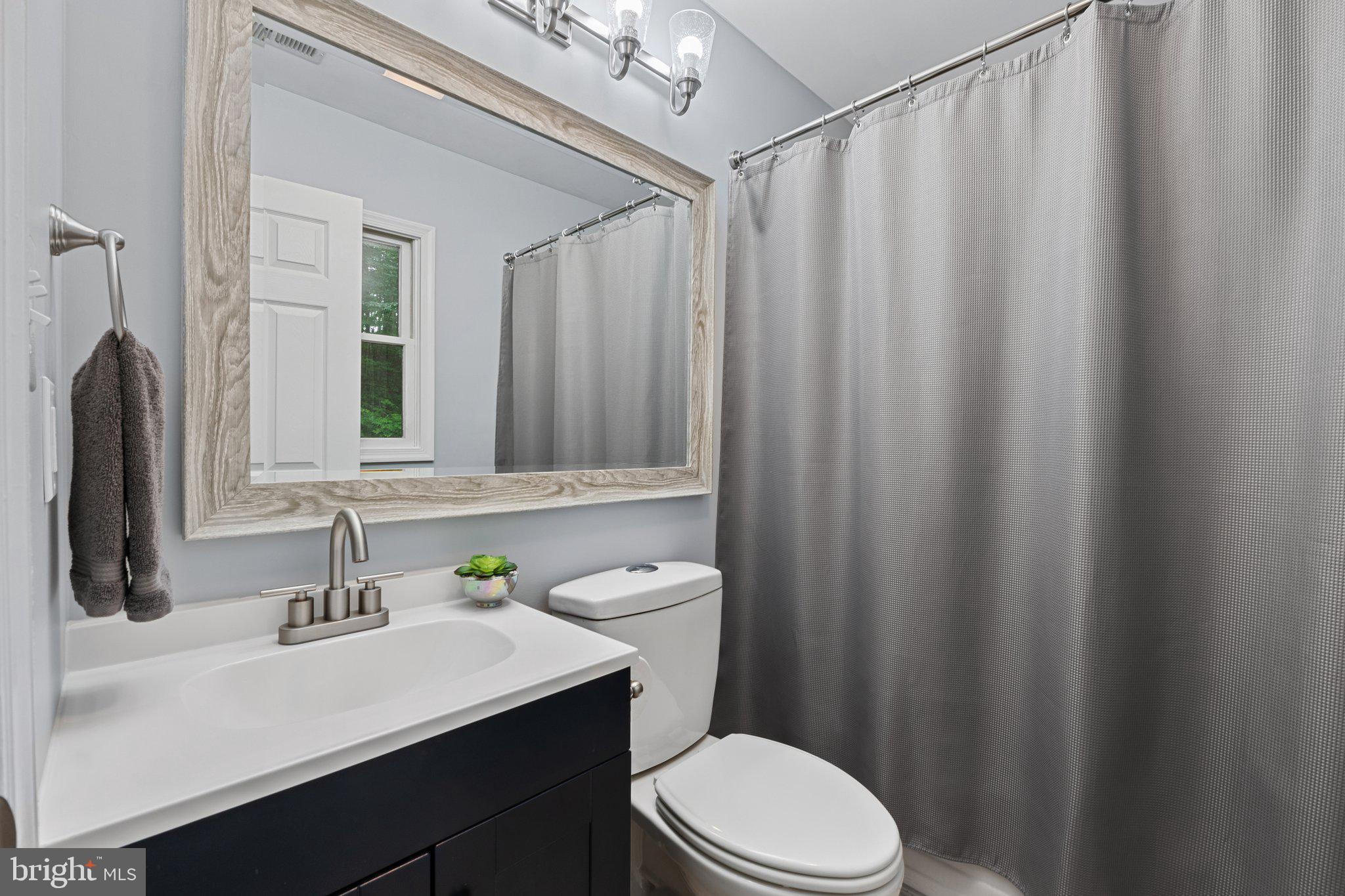 1420 Fishel Road Winchester, VA 22602 - Photo 18 of 34 a bathroom with a sink a toilet a mirror and shower curtain