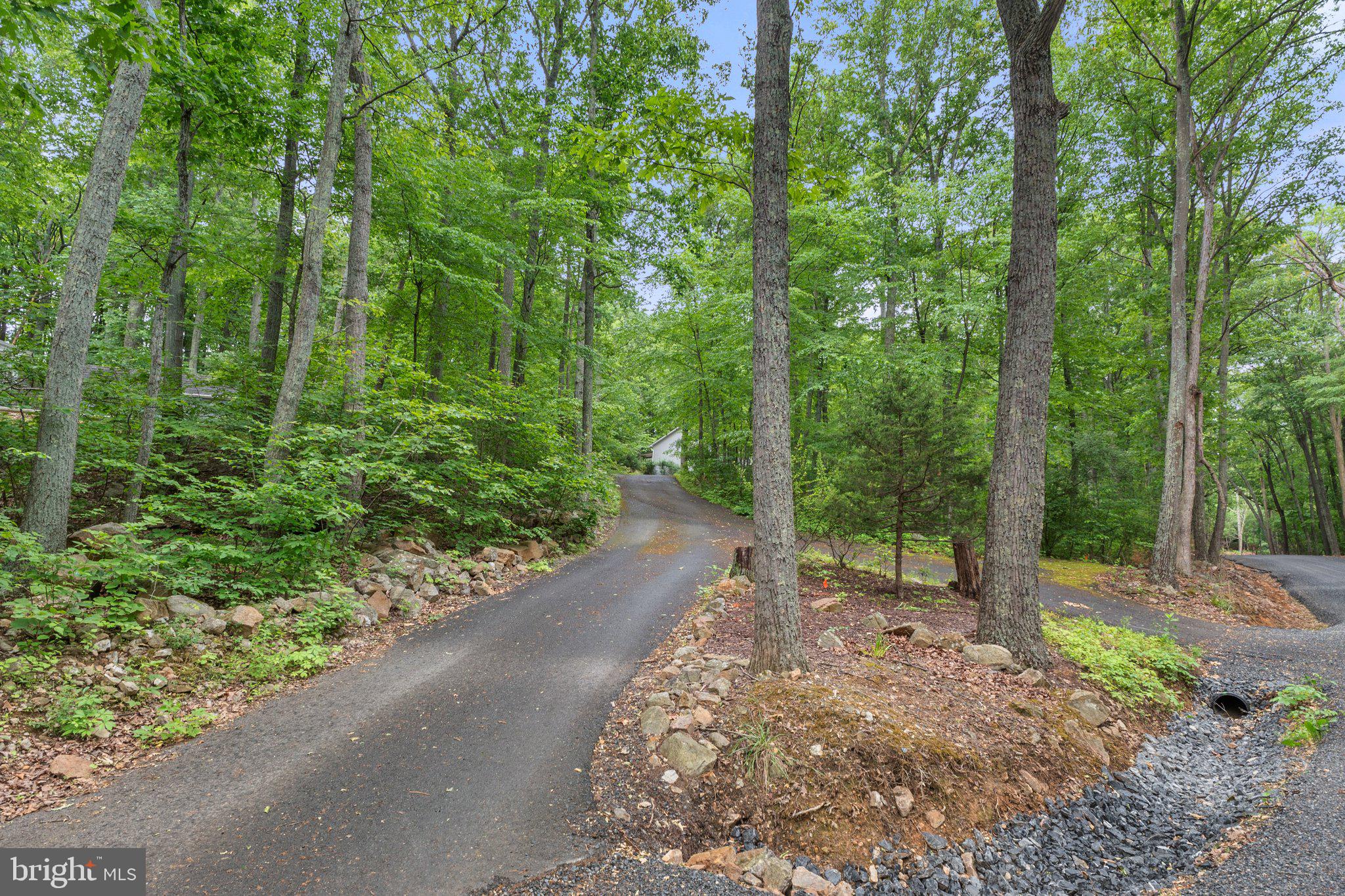 1420 Fishel Road Winchester, VA 22602 - Photo 26 of 34 a view of a forest with trees