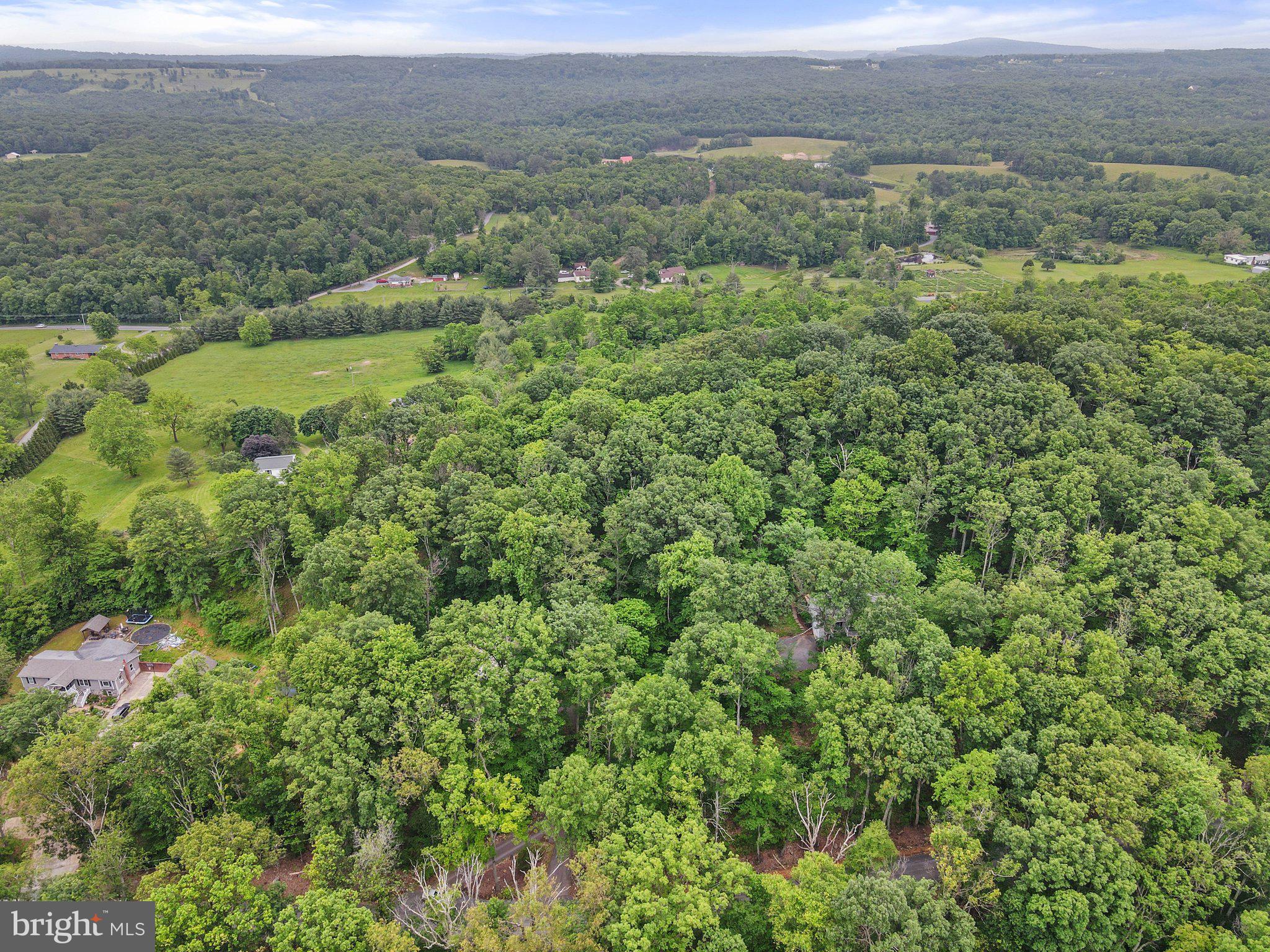 1420 Fishel Road Winchester, VA 22602 - Photo 3 of 34 an aerial view of forest
