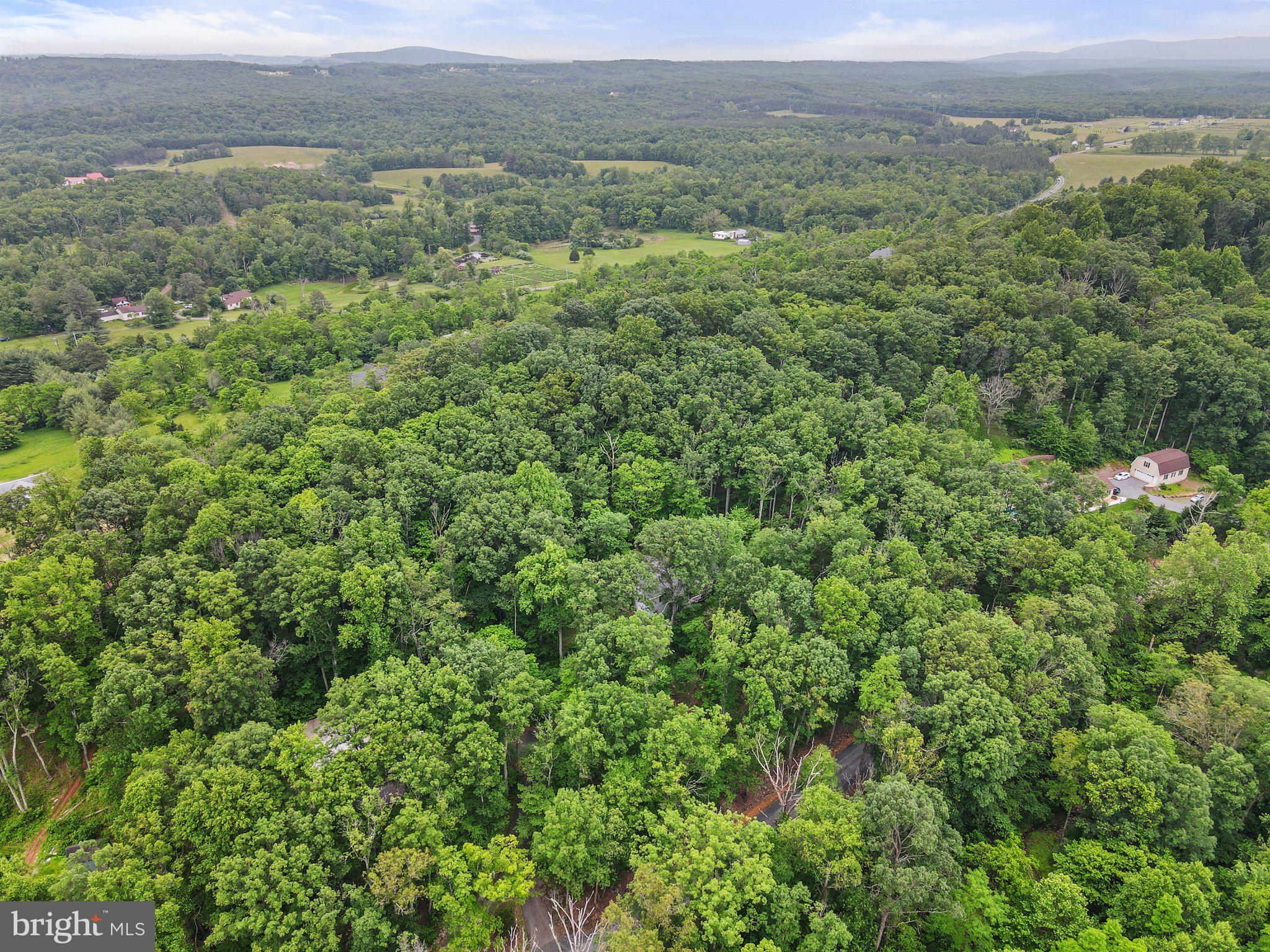 1420 Fishel Road Winchester, VA 22602 - Photo 34 of 34 an aerial view of residential houses with outdoor space and trees