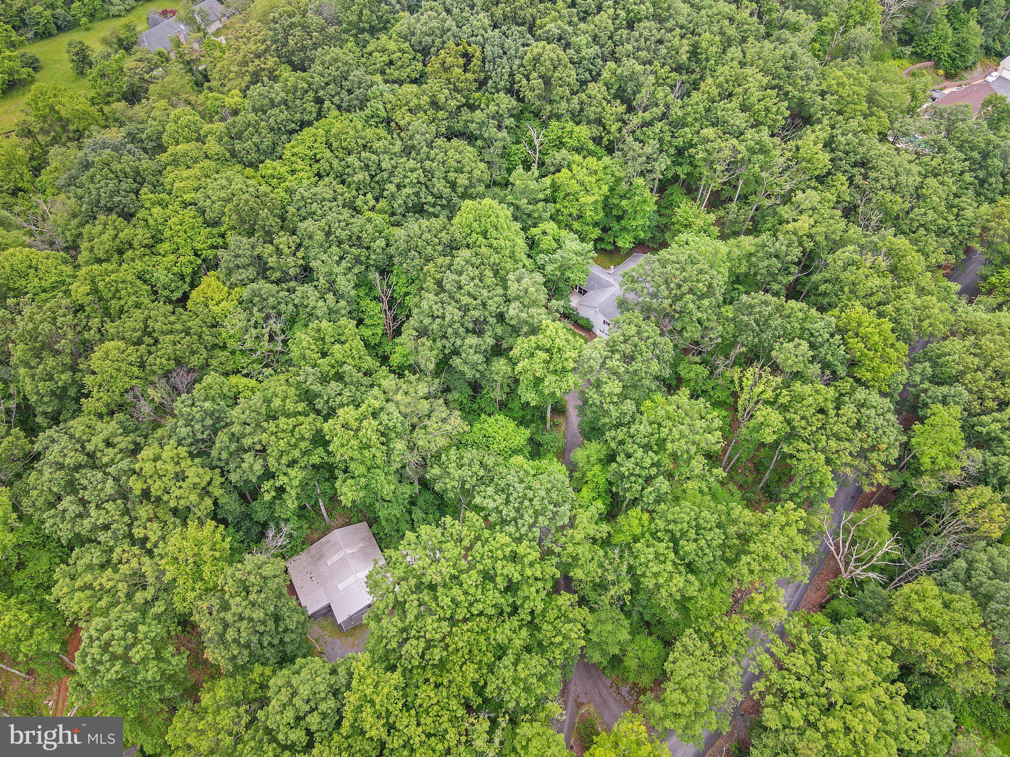 1420 Fishel Road Winchester, VA 22602 - Photo 4 of 34 a view of a house with a tree