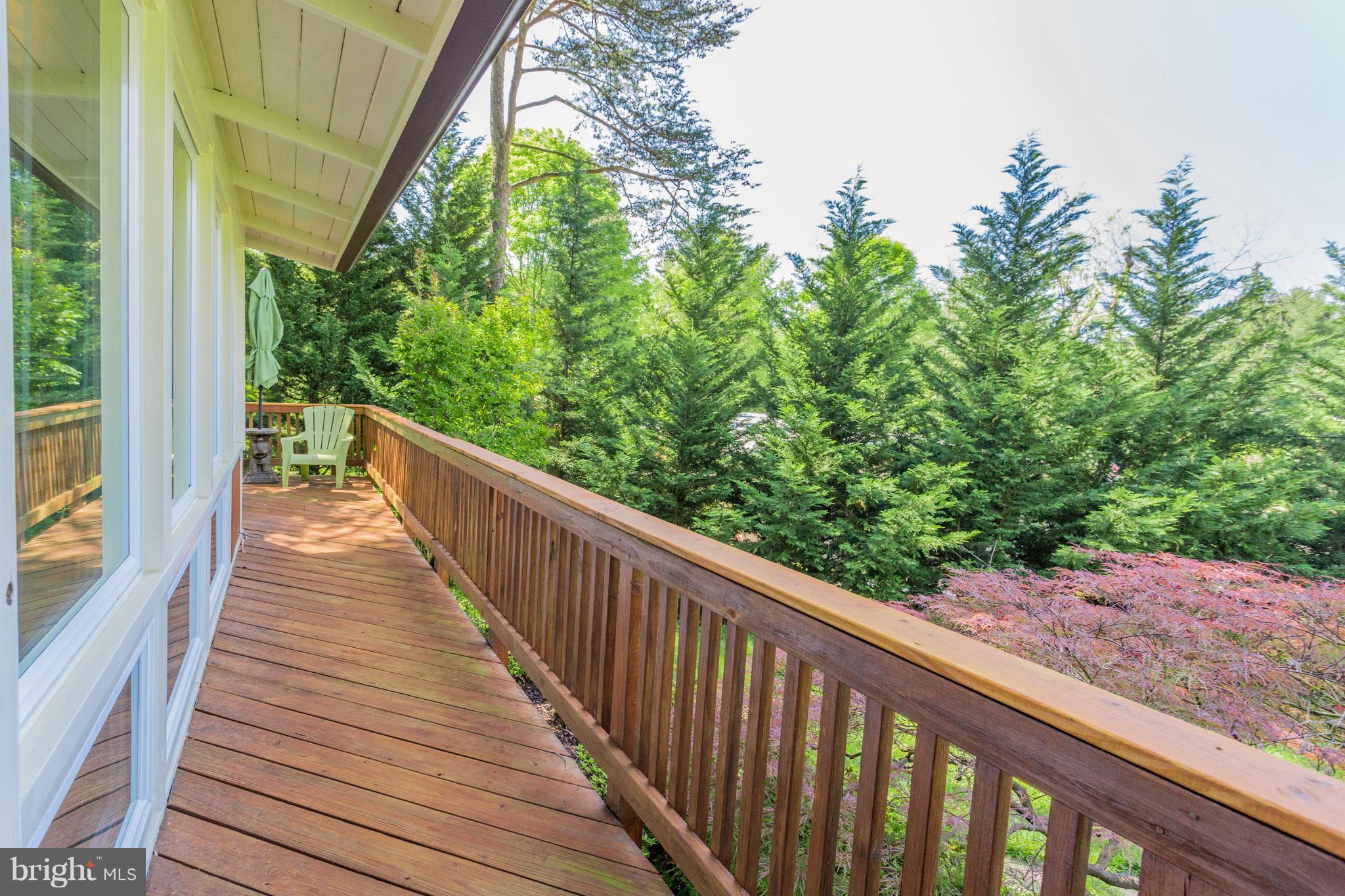 2909 Pine Spring Road Falls Church, VA 22042 - Photo 28 of 30 Deck