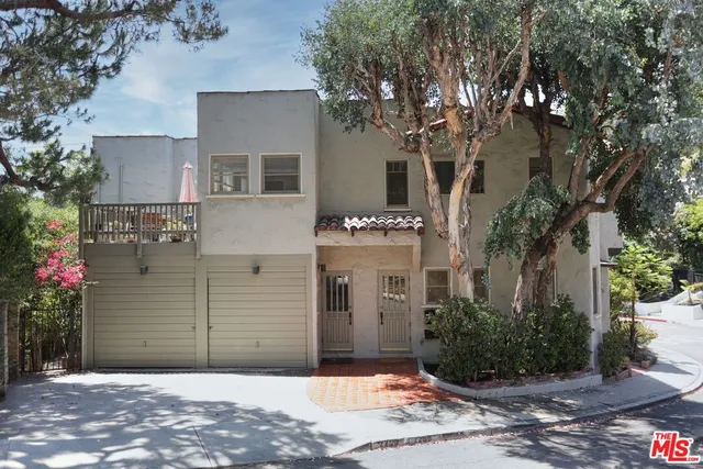 a view of a yard with plants and large trees