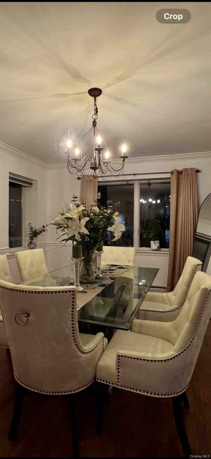 204 Outlook Avenue Bronx, NY 10465 - Photo 5 of 12 a room with lots of potted plants and white cabinets