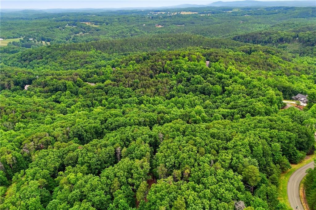 0 Owl Ridge Way Jasper, GA 30143 - Photo 13 of 22 a view of a lush green forest with trees in the background
