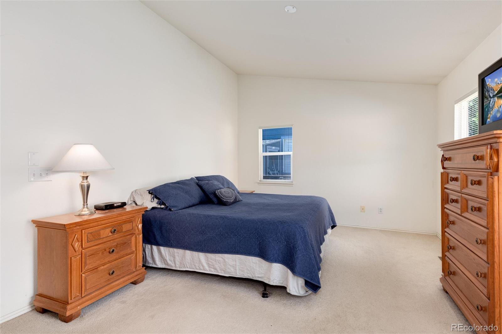 9837 Bathurst Way Highlands Ranch, CO 80130 - Photo 21 of 33 Gallery Image 21
