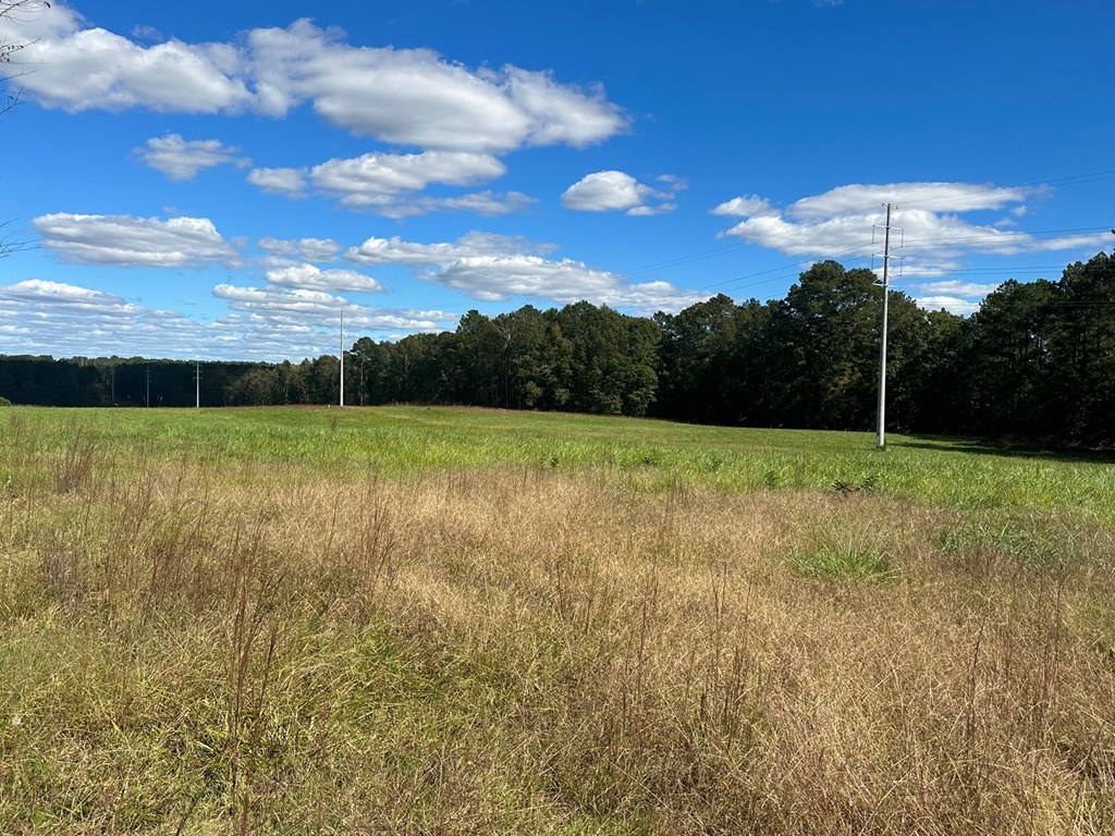 0 Highway 39 Chappells, SC 29037 - Photo 12 of 33 Gallery Image 12